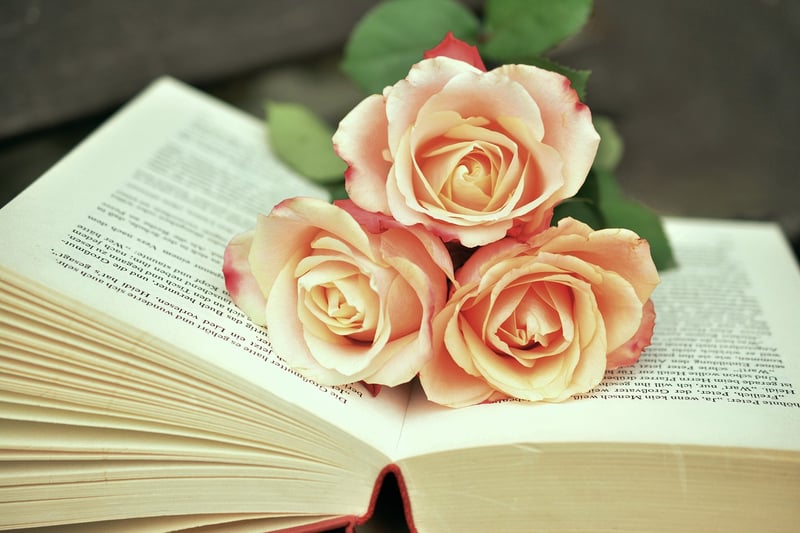 Book with a hidden secret